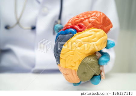 Alzheimer disease, Asian doctor holding brain anatomy model for study diagnosis and treatment in hospital. 126127113