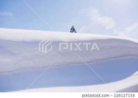 Trees visible through a snow wall on a sunny day Trees visible through a snow wall on a sunny day 126127158