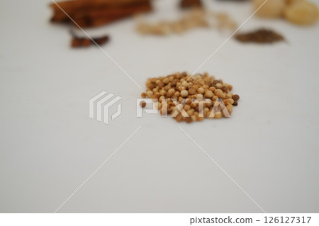 spices and herbs on a white background spices and herbs on a white background 126127317