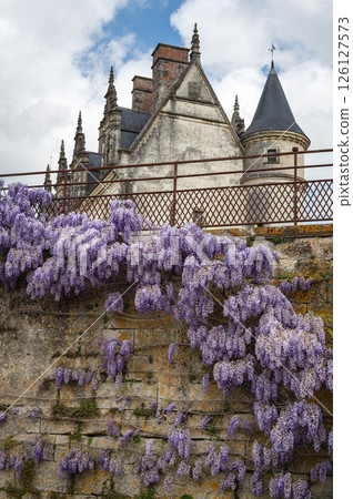 Chateau of Amboise during springtime Chateau of Amboise during springtime 126127573