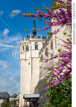Chateau of Amboise during springtime 126127574