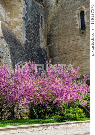 Amboise France during springtime Amboise France during springtime 126127576