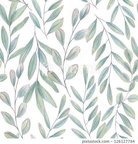 Watercolor lush leaf eucalyptus or olive branch illustration isolated background. Blue green leaves with pink edges. Floral element for wedding bouquet, spa greeting cards, organic beauty products 126127784