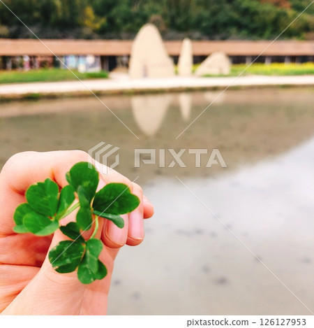 三片四葉草 三片四葉草 126127953