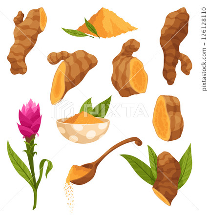 Turmeric root plant, icon set. Natural flavor, herbal spice, hand drawn sketch illustration. Detox food ingredient. Vector illustration isolated on white background. 126128110