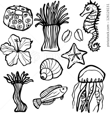 Vector doodle composition on a marine theme. Shells, seahorse, hydras, fish, jellyfish 126128131