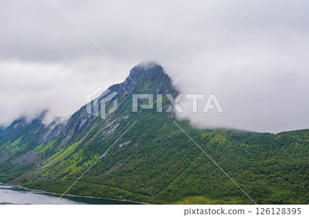 View from Mountain in Norway 126128395