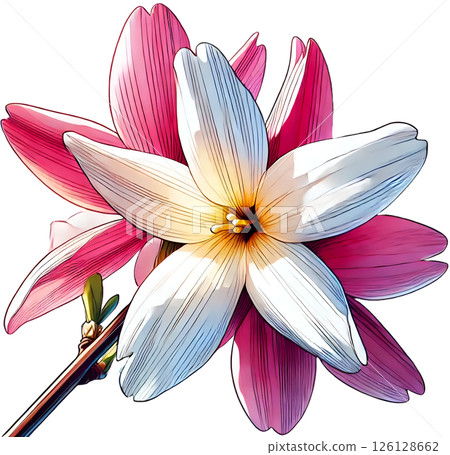 美麗的花卉插圖 126128662