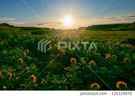 Tanimizu Rice Terrace, Minamishimabara City, Nagasaki Prefecture Tanimizu Rice Terrace, Minamishimabara City, Nagasaki Prefecture 126129978