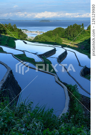 長崎縣南島原市谷水梯田 126129980