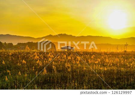 Susumu and sun and house 126129997