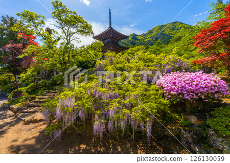 紫藤名勝前山寺與「未完工之塔」三重塔 126130059
