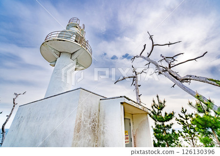 Tatsumaizaki: A white object made of dead pine trees. Japan's largest sea cliff. The southernmost point of Kesennuma Oshima. 126130396