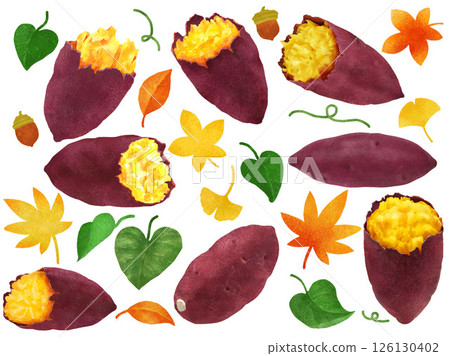 烤地瓜、地瓜的插圖（多汁、逼真、照片、秋季） 126130402