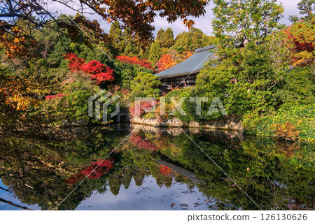 Ryoanji temple by pond with colorful autumn garden, Kyoto Ryoanji temple by pond with colorful autumn garden, Kyoto 126130626