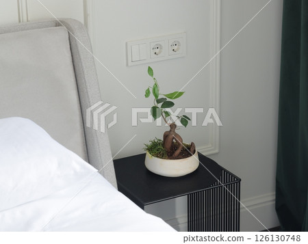 An Elegant Indoor Plant Beautifully Placed by the Bedside in a Modern Bedroom Setting 126130748