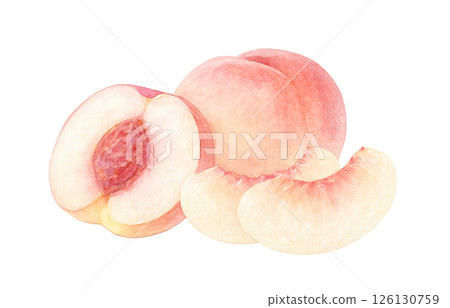 桃子插畫水彩白桃子 桃子插畫水彩白桃子 126130759