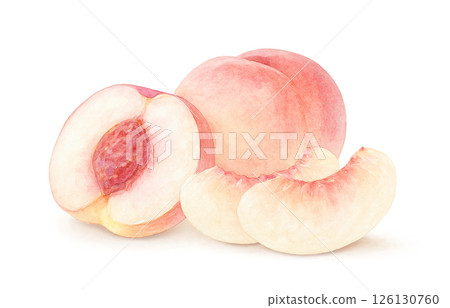 桃子插畫水彩白桃子 桃子插畫水彩白桃子 126130760