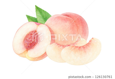 桃子插畫水彩白桃子 126130761