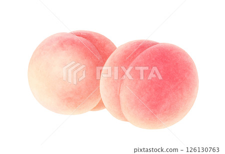 Peach illustration watercolor white peach peach 126130763