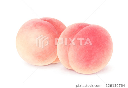 桃子插畫水彩白桃子 桃子插畫水彩白桃子 126130764