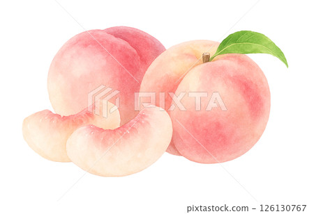 Peach illustration watercolor white peach peach Peach illustration watercolor white peach peach 126130767