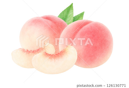桃子插畫水彩白桃子 桃子插畫水彩白桃子 126130771