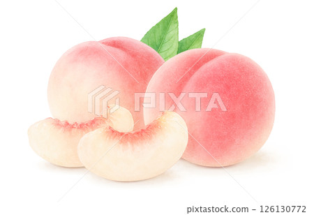 Peach illustration watercolor white peach peach 126130772