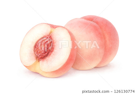 桃子插畫水彩白桃子 126130774