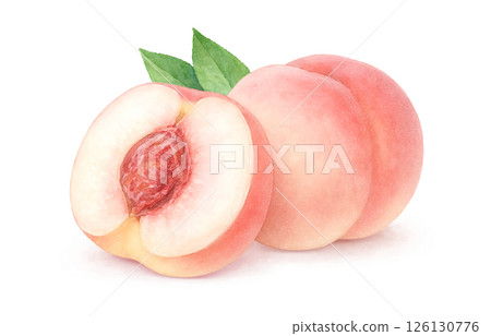 Peach illustration watercolor white peach peach 126130776