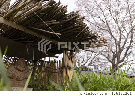 橋下的大黑天像、櫻花和水戶線 126131261