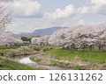 Cherry blossoms, the Hinuma River and the Mito Line 126131262