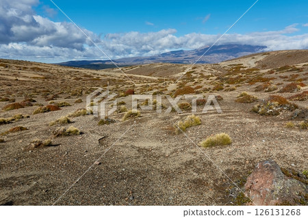 Hiking landscape in Tongariro National Park, New Zealand 126131268