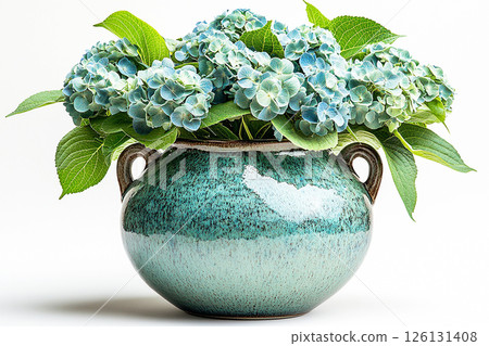 Ceramic vase in antique style with big Hydrangea bush grows on a white background. 126131408
