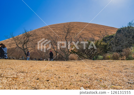 伊東市（靜岡縣）藍天映襯下的大室山營火美景 126131555