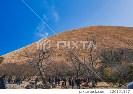 大室山的火焰與伊東市（靜岡縣）的藍天形成鮮明對比 126131557