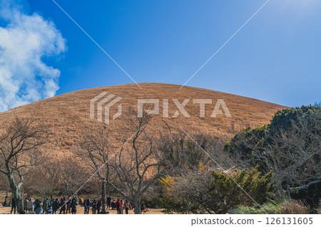 The mountain burning of Mt. Omuroyama, set against the blue sky of Ito City (Shizuoka Prefecture) 126131605