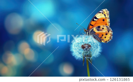 Gorgeous Gentle Butterfly On A Fresh Blue Close-Up Macro Of A Dandelion Flower In Spring With A Beautiful Blurred Background. Dreamy And Romantic Artistic Image. 126131865