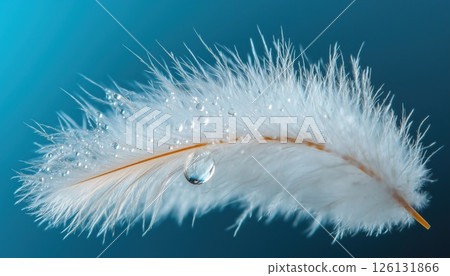 Close-Up Macro Of A Dew Drop On A Fluffy Feather In Blue Background: Abstract, Romantic, Delicate, And Artistic Image With Magical Vibe. 126131866