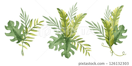 Tropical Leaves Compositions Set. Eucalyptus, Banana Palm and Monstera Watercolor Bouquet with Liana. Hand drawn botanical illustration isolated on white background. For cards, invitations, posters 126132303