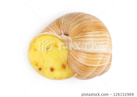 Dijon escargot snail filled with butter, garlic, Dijon mustard and cheese isolated on white background. Top view Dijon escargot snail filled with butter, garlic, Dijon mustard and cheese isolated on white background. Top view 126132989
