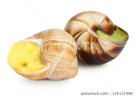 escargot snail filled with garlic and parsley butter isolated on white background 126132990