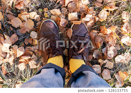 Stylish fall footwear captured among fallen birch leaves in the woods. The contrast of bright yellow socks with dry foliage creates a visually striking autumn composition 126133755