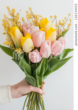 Hand holding a bouquet of pink tulips and yellow mimosa flowers 126134435