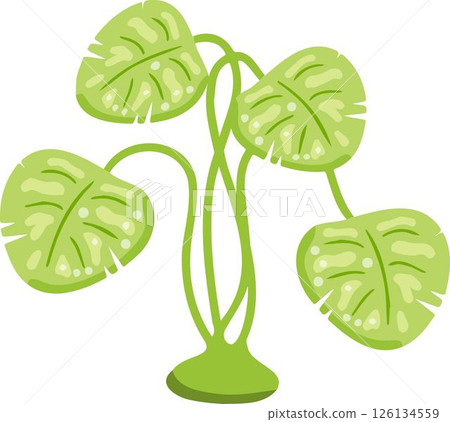 Flat style indoor plant with green leaves. Tropical cartoon foliage vector. Flat style indoor plant with green leaves. Tropical cartoon foliage vector. 126134559
