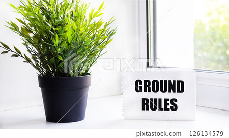 The text of the BASIC RULES in a notebook with a flower on the window The text of the BASIC RULES in a notebook with a flower on the window 126134579