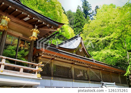 Located along the Kibune River, the source of the Kamo River in Kyoto... The sacred water of matchmaking [Kifune Shrine] 126135261