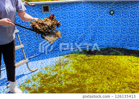 Person uses broom to remove leaves from swimming pool filled with green water debris in backyard. 126135413