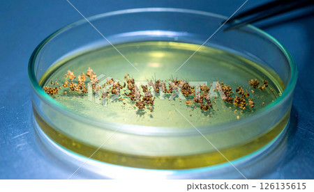 alien plant spores pulsing .World UFO Day concept. Generated Image 126135615