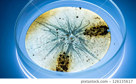 alien plant spores pulsing .World UFO Day concept. Generated Image 126135617